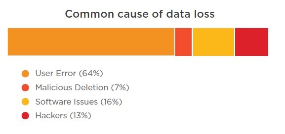 Common causes of data loss